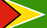 Guyana Visa flag