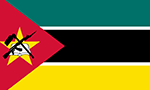 Mozambique Visa flag