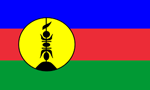 New Caledonia Visa flag